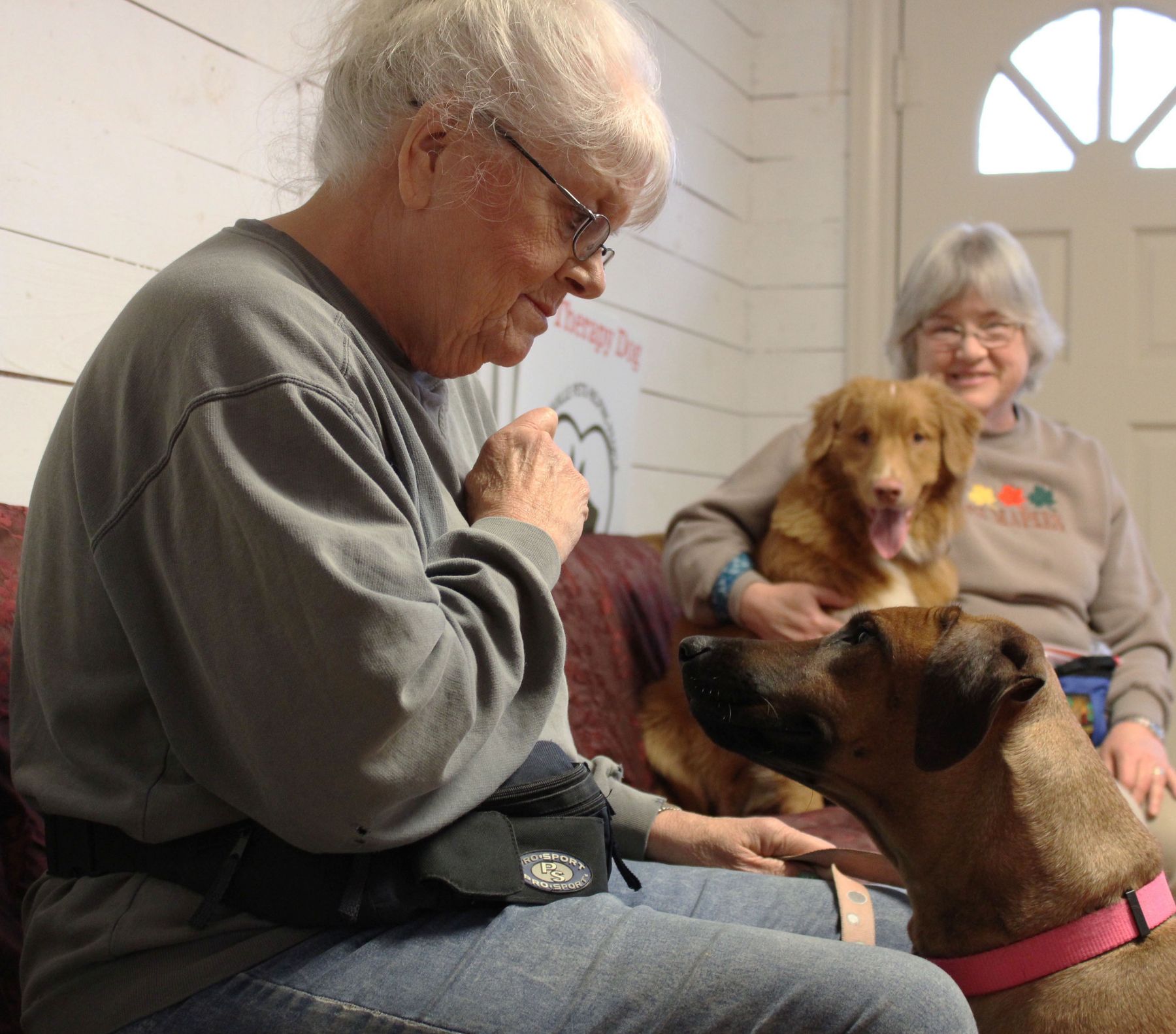 Beaufort County residents at home with their dogs